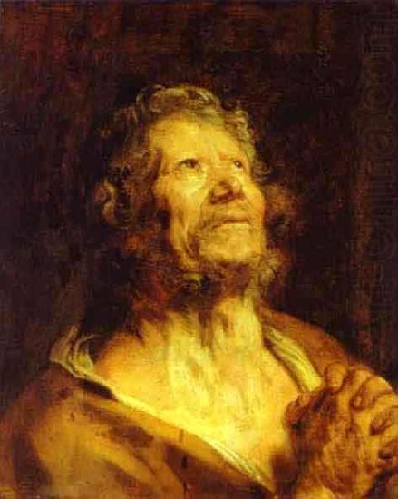 Anthony Van Dyck An Apostle with Folded Hands china oil painting image